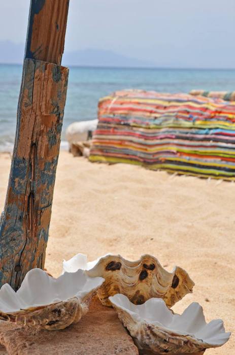 970594_10201184724920472_428676062_n