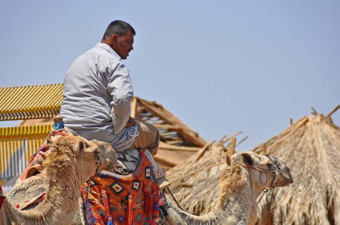 976172_10201184186107002_451478558_o