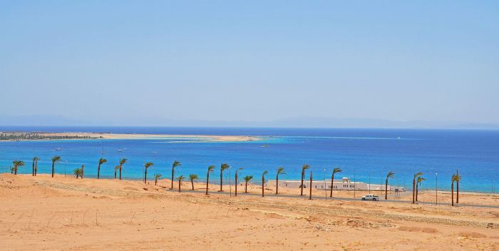 976535_10201184184946973_489268872_o