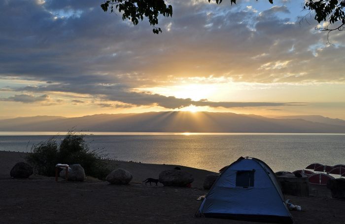 977090_10201256801882351_325766868_o