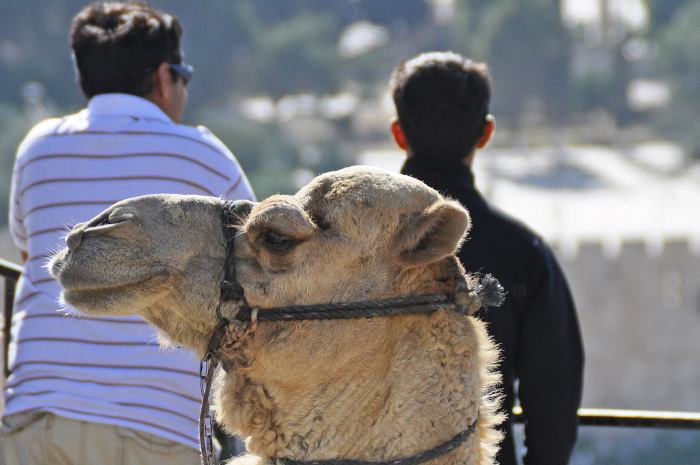 977227_10201256471634095_296703057_o