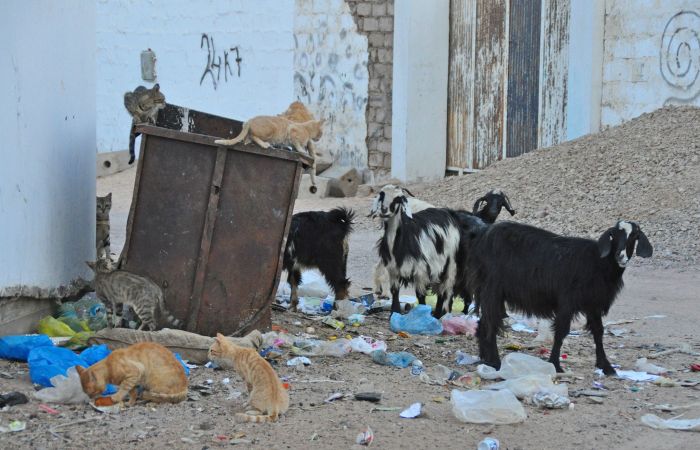 977817_10201184203107427_628796803_o