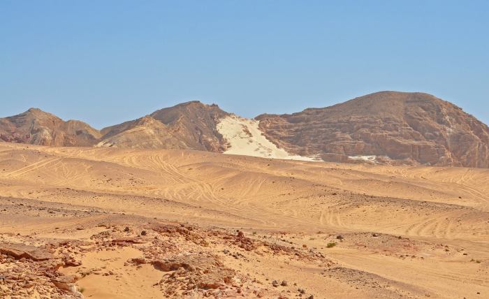 977845_10201184252148653_652054194_o