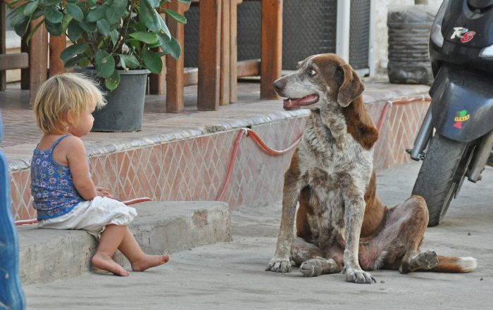 979915_10201184195707242_467778606_o