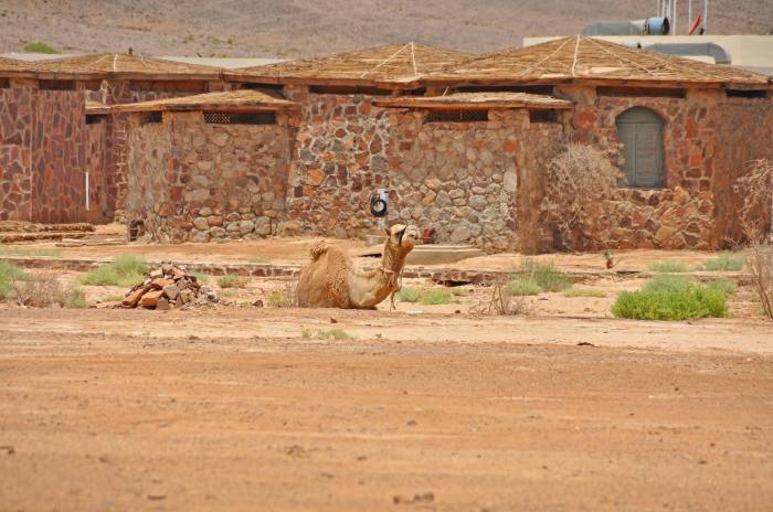 980456_10201184727920547_55652150_o