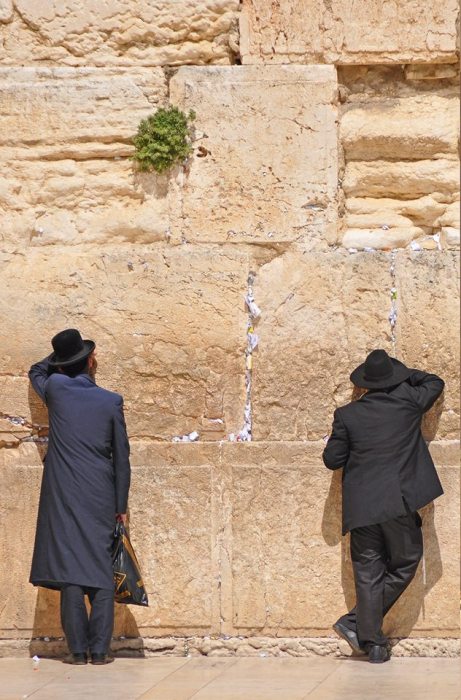 999405_10201256469434040_1591692466_n