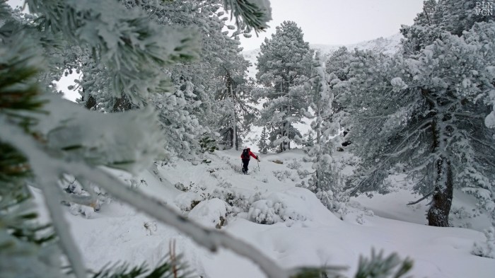 WP_20141207_10_49_46_Pro__highres (Copier)