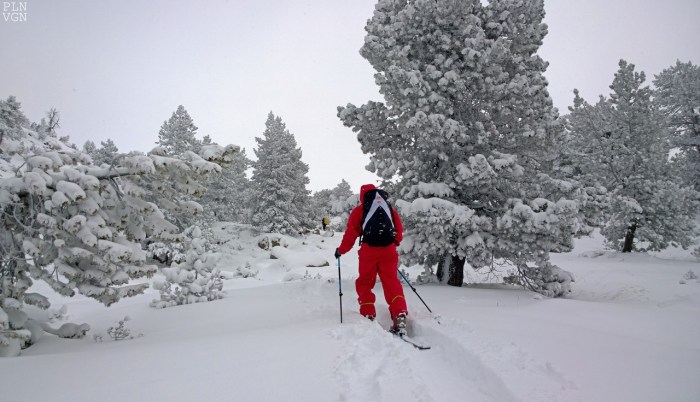 WP_20141207_11_33_46_Pro__highres (Copier)