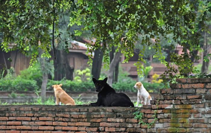 1262438_10202106778611238_1825854076_o