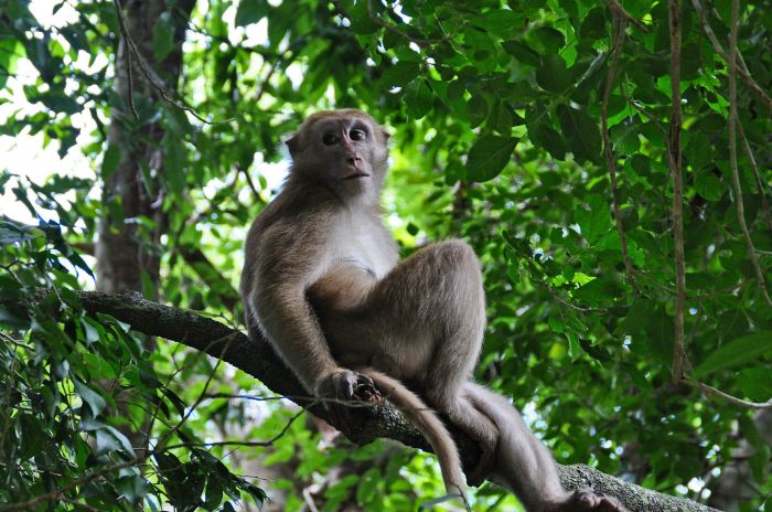 1266167_10202130851613048_18420757_o