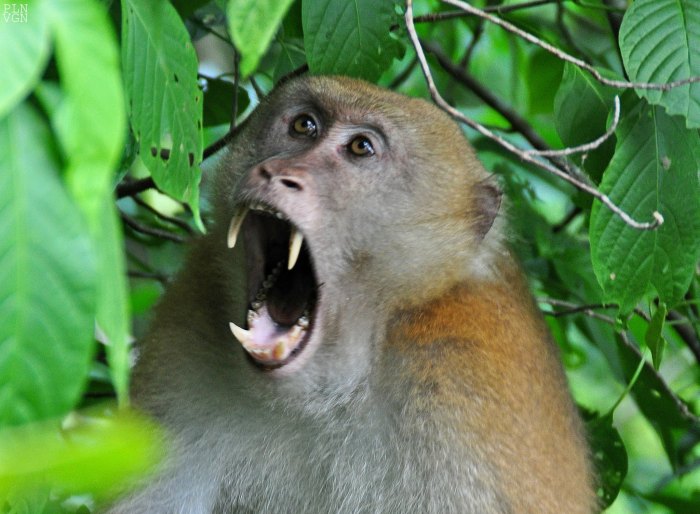 1267368_10202130852253064_1224196602_o