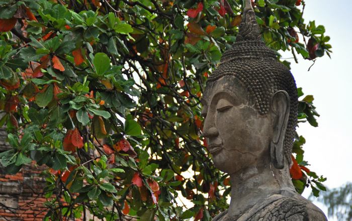 1267684_10202107021697315_228922580_o