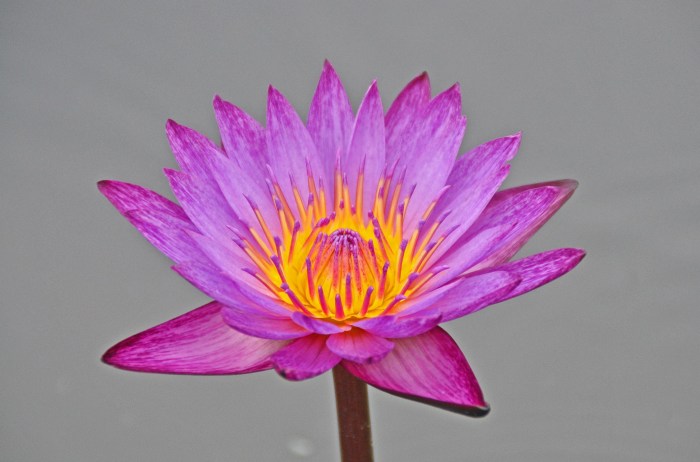 1272128_10202106802771842_1163741350_o