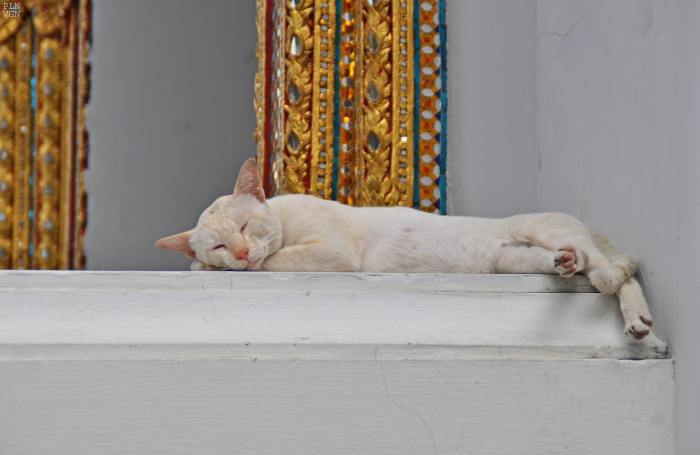 1272525_10202130883253839_986946904_o