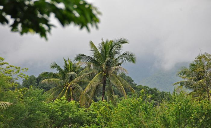 1272693_10202130860413268_1596399950_o