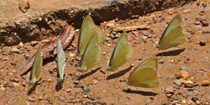 1274413_10202130850773027_1980605024_o