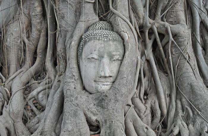 1276621_10202107018777242_1027203913_o