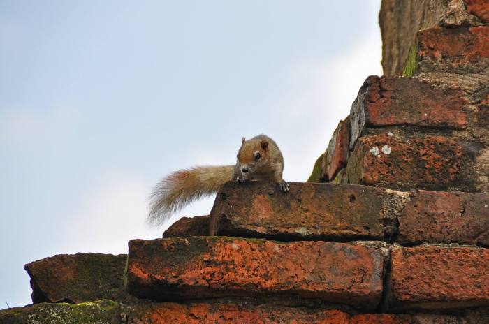 135210_10202106821572312_473638979_o