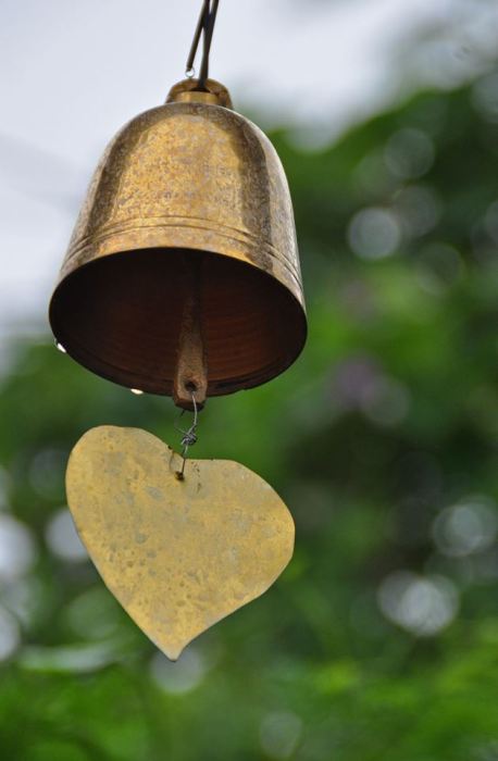 1380216_10202130881373792_900005222_n