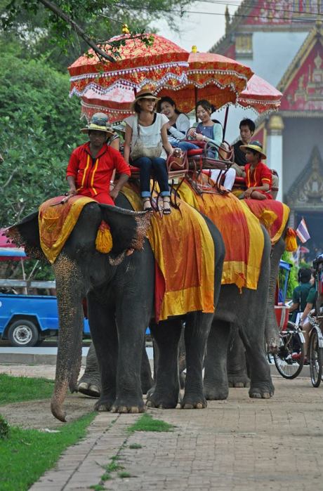 1380535_10202106801971822_1559720745_n