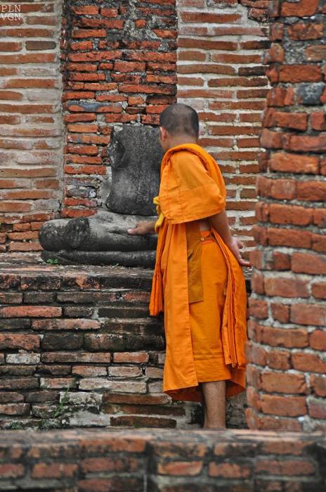 1381870_10202107090819043_610257764_n