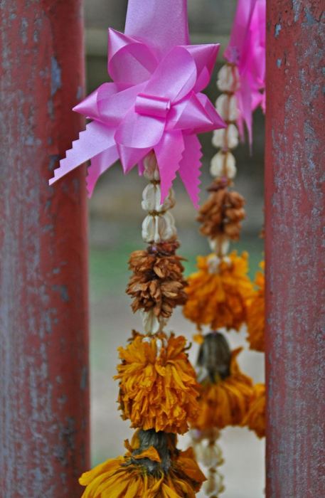 1383696_10202106801651814_1124461317_n