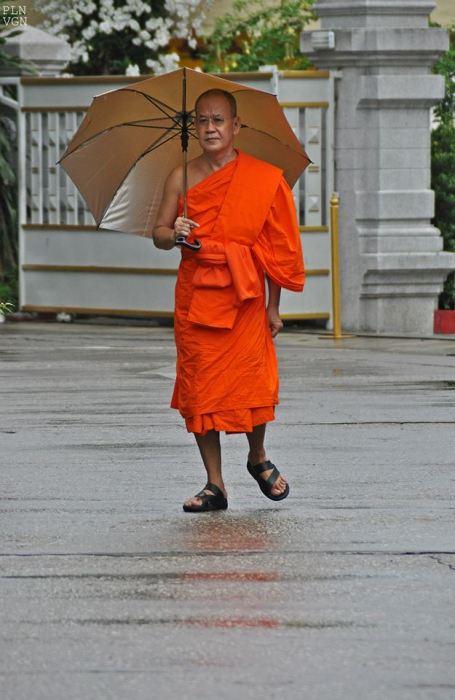 1383916_10202130880693775_244364244_n