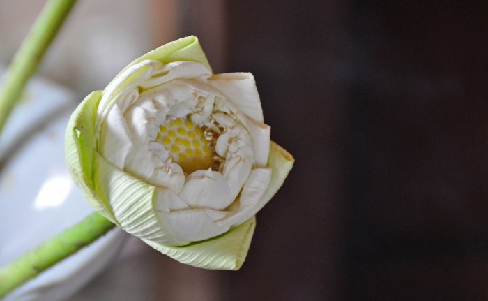 680371_10202130882613823_1026942490_o