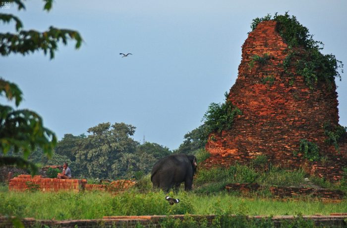 857216_10202107026297430_2020999048_o