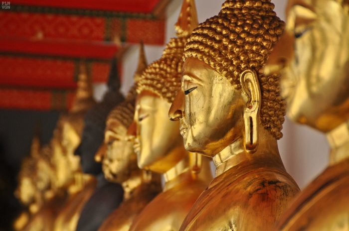 886103_10202130883413843_1066322432_o