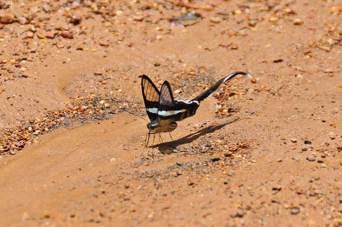 893393_10202130859053234_1544182943_o