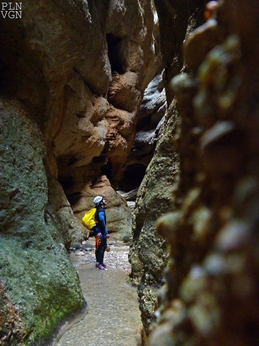 10169222_510721572383136_6989711008194824491_n