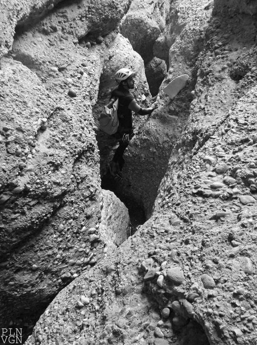 10295545_511212259000734_9221073635169082803_o