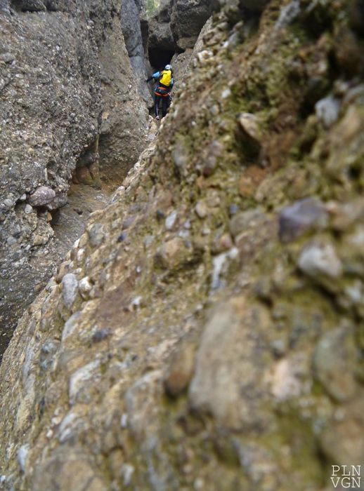 10344395_510718519050108_6094631612573542123_o