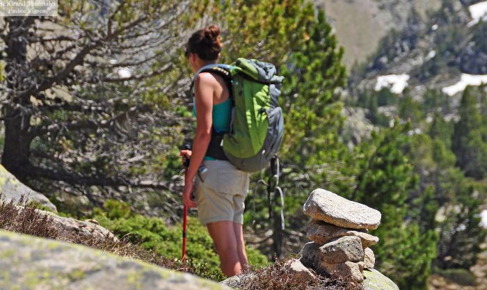 1040111_537833616253602_1240358257_o