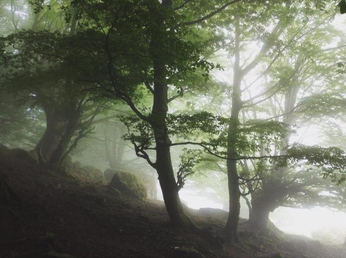 11759456_10207162318996588_569857148_n