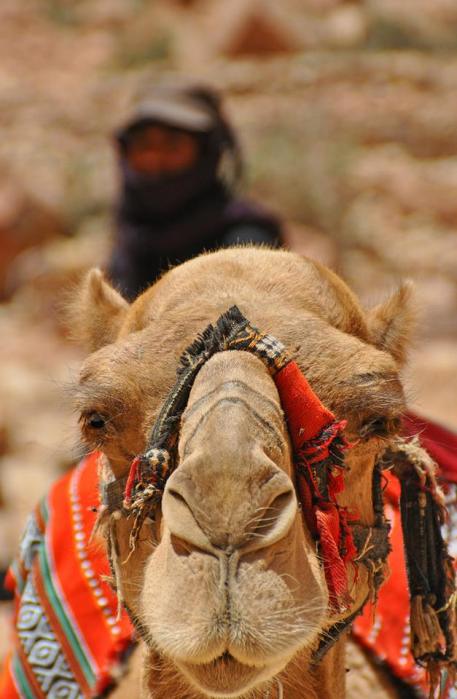 941853_10201184212067651_724620421_n