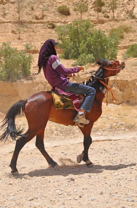 941979_10201184207907547_1588799794_n