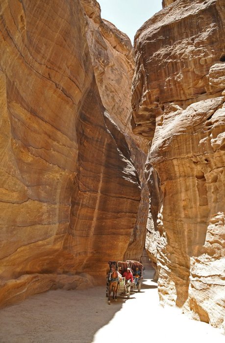 947179_10201184208507562_1400548186_n