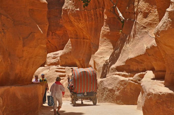 977083_10201184210187604_370240682_o